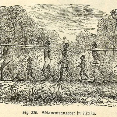 Foto de perfil de Pedro Blanco (slave trader)