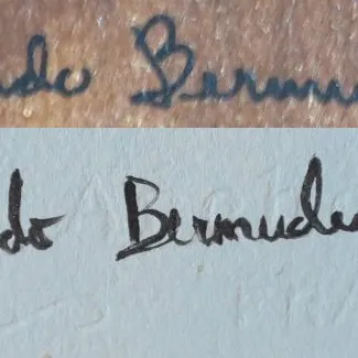 Foto de perfil de Cundo Bermúdez