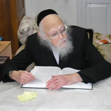 Foto de perfil de Yosef Shalom Elyashiv
