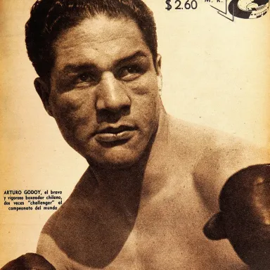 Foto de perfil de Arturo Godoy