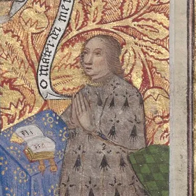 Foto de perfil de Peter II of Brittany