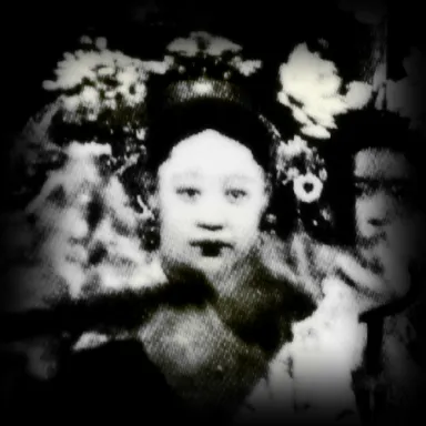 Foto de perfil de Imperial Noble Consort Wenjing