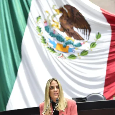 Foto de perfil de Tania Palacios Kuri