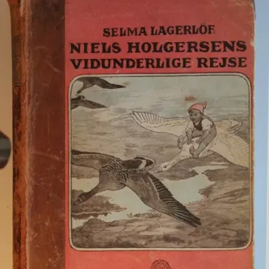 Foto de perfil de Aase Holgersen