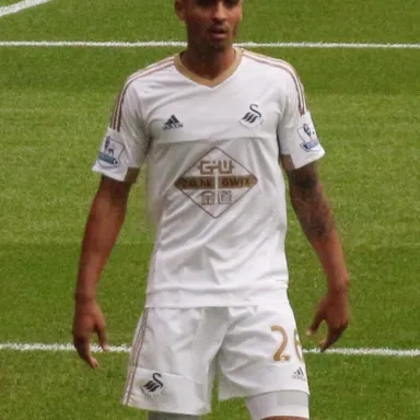 Foto de perfil de Kyle Naughton