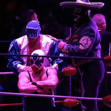 Foto de perfil de Rayo de Jalisco Jr.