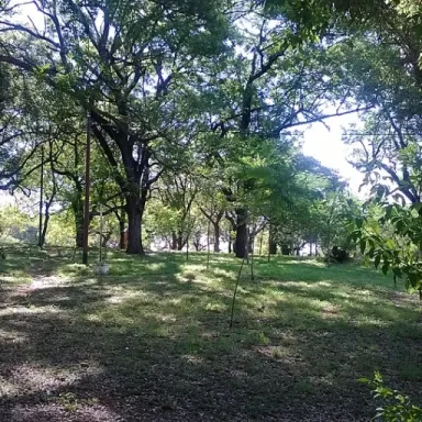 Foto de perfil de Diego Arboleda
