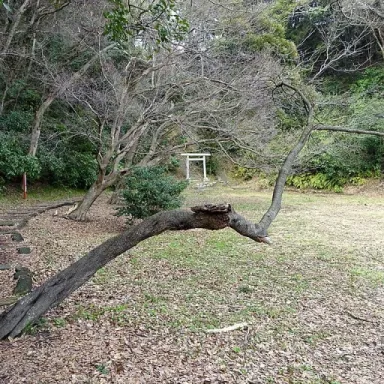 Foto de perfil de Ōe no Yoshitoki