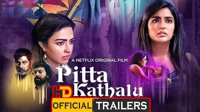 تصویر فیلم Pitta Kathalu