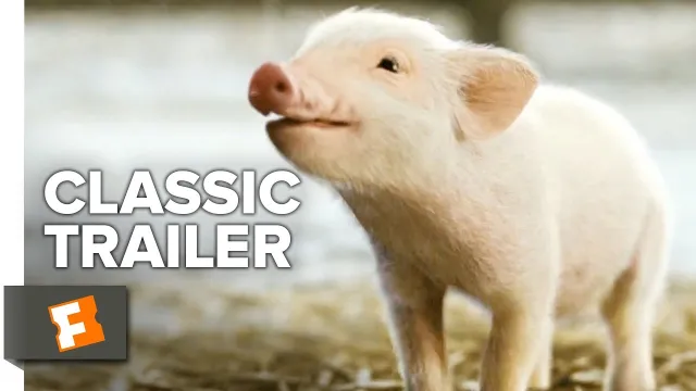 تصویر فیلم Charlotte's Web