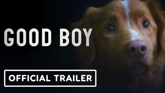 تصویر فیلم Good Boy (2025 Komasa film)