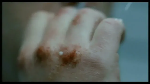 تصویر فیلم Hunger (2008 film)