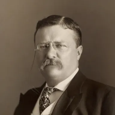 عکس نمایهٔ Theodore Roosevelt