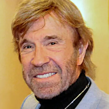 عکس نمایهٔ Chuck Norris