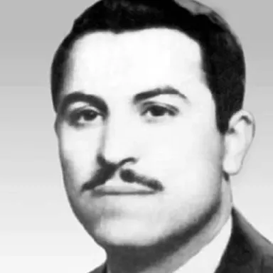 عکس نمایهٔ سعید محسن