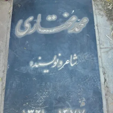 عکس نمایهٔ محمد مختاری