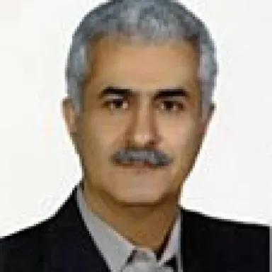 عکس نمایهٔ رضا پیله چیان لنگرودی