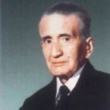 عکس پروفایل علیرضا افضلی‌پور
