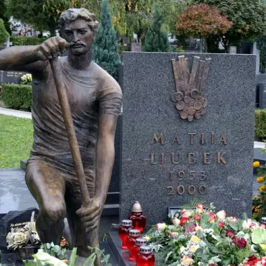عکس نمایهٔ Matija Ljubek