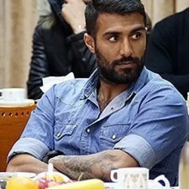 عکس نمایهٔ میلاد میداوودی