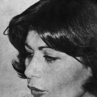 عکس نمایهٔ شهرزاد (بازیگر)