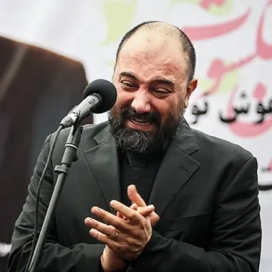 عکس نمایهٔ برزو ارجمند