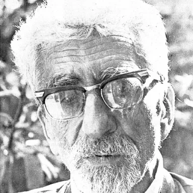 عکس نمایهٔ محمد پروین گنابادی