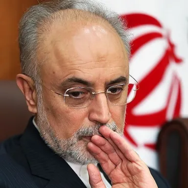 عکس نمایهٔ علی‌اکبر صالحی