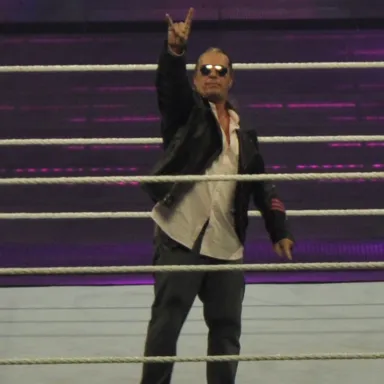 عکس نمایهٔ Bret Hart