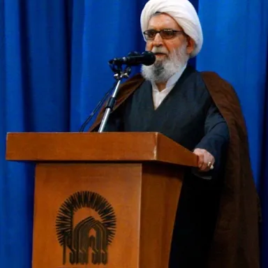 عکس نمایهٔ عباس واعظ طبسی