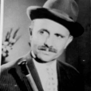 عکس نمایهٔ حسین محسنی