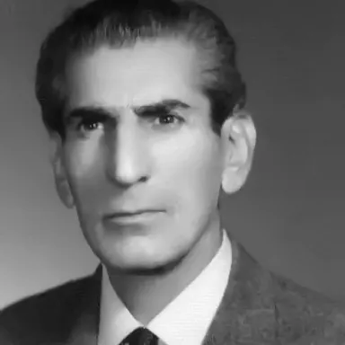عکس نمایهٔ حسن مشحون