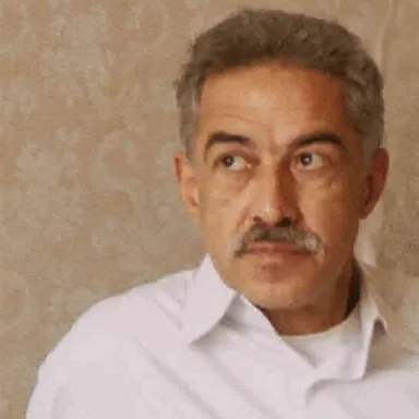 عکس نمایهٔ علاءالدین ملماسی