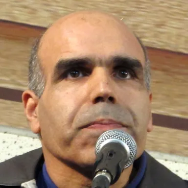 عکس نمایهٔ مالک حسینی