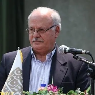 عکس نمایهٔ محمدتقی رهنمایی