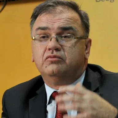 عکس نمایهٔ Mladen Ivanić