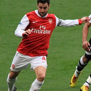 عکس نمایهٔ Cesc Fàbregas