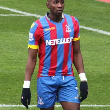 عکس نمایهٔ Yannick Bolasie