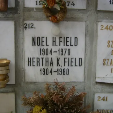 عکس نمایهٔ Noel Field