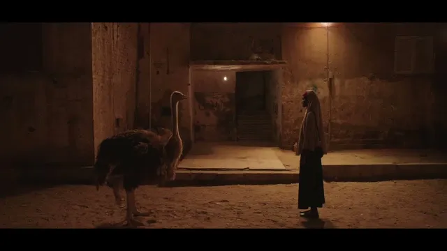 œuvre de Aisha Can't Fly Away