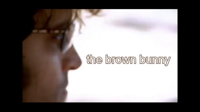œuvre de The Brown Bunny