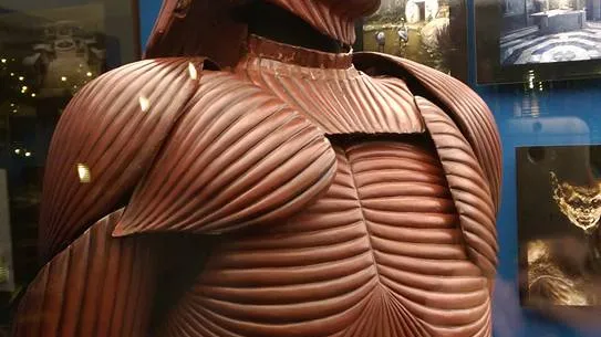 œuvre de Bram Stoker's Dracula (1992 film)