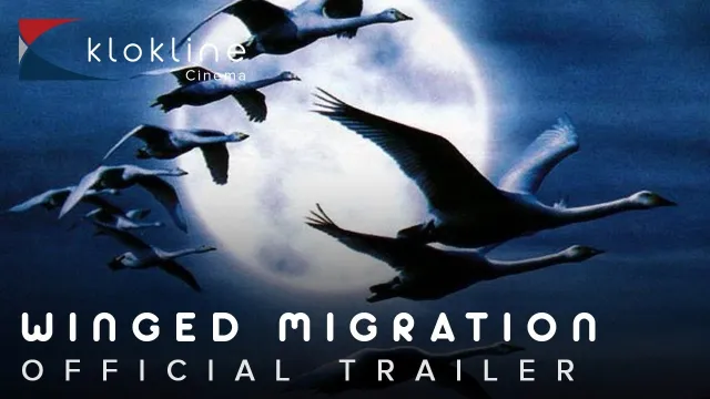 œuvre de Winged Migration