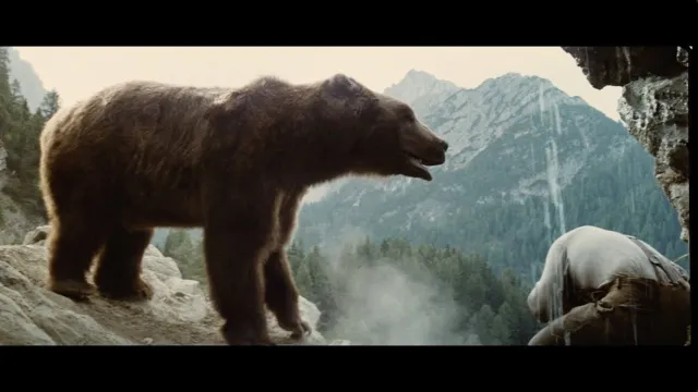 œuvre de The Bear (1988 film)