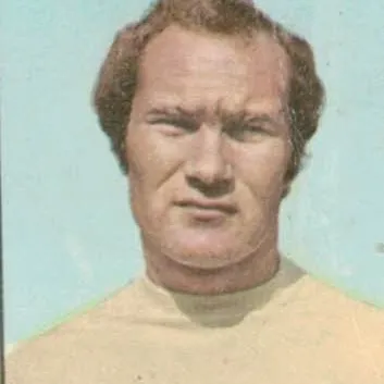 photo de profil de Nedo Sonetti