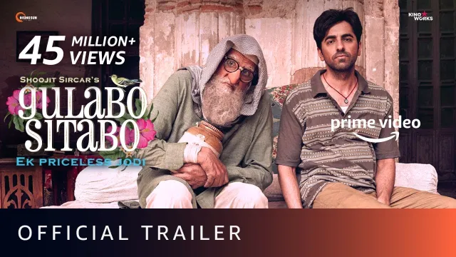 Gulabo Sitabo की कलाकृति