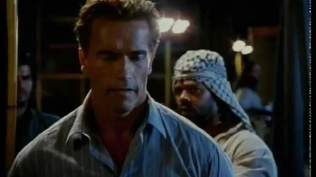 True Lies की कलाकृति