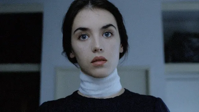 Possession (1981 film) artwork