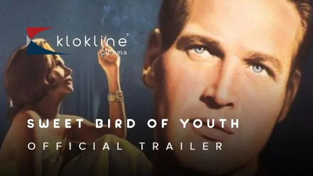 Sweet Bird of Youth artwork