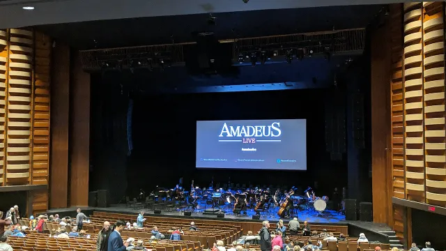 Amadeus artwork